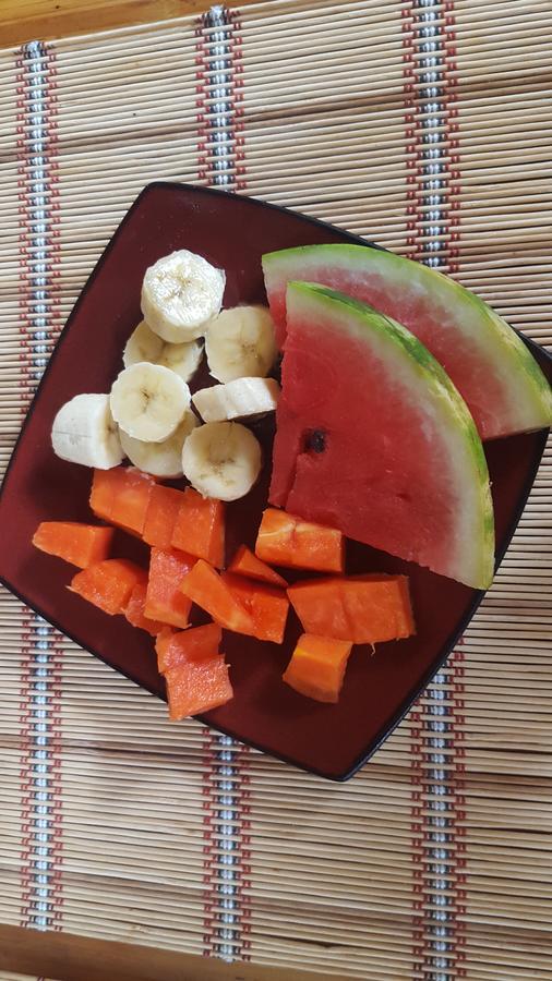 לינה וארוחת בוקר אלאג'ואלה Vida Tropical מראה חיצוני תמונה
