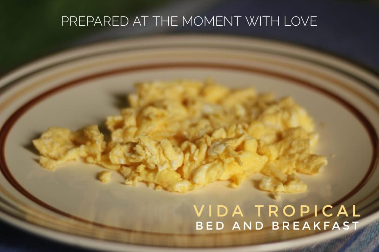 לינה וארוחת בוקר אלאג'ואלה Vida Tropical מראה חיצוני תמונה